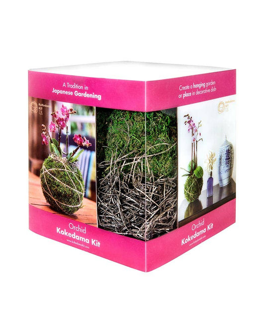 Orchid Kokedama Kit 6 in