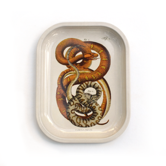 Small Metal Snake Ritual Trinket Tray / Rolling Tray