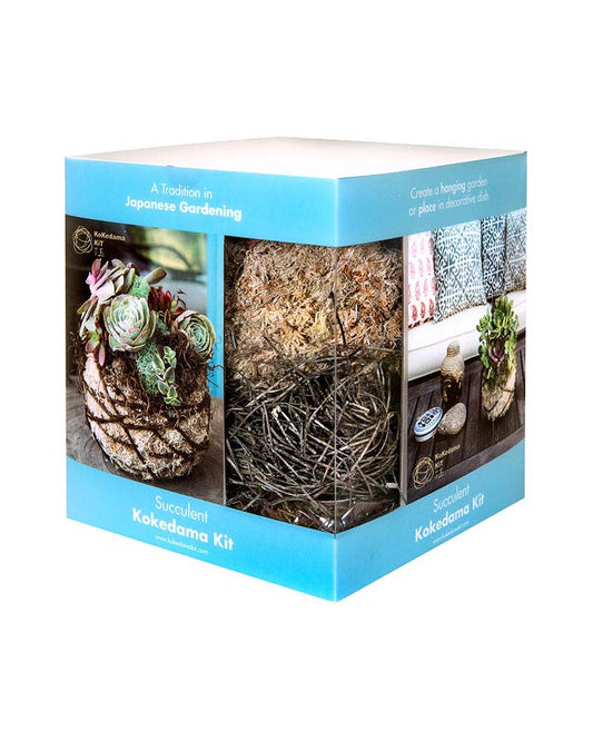 Succulent  Kokedama Kit 6 in