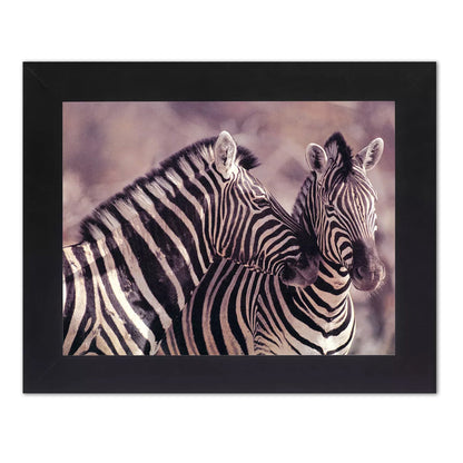 African Striped Zebras Hugging Photo Wall Picture Black Framed