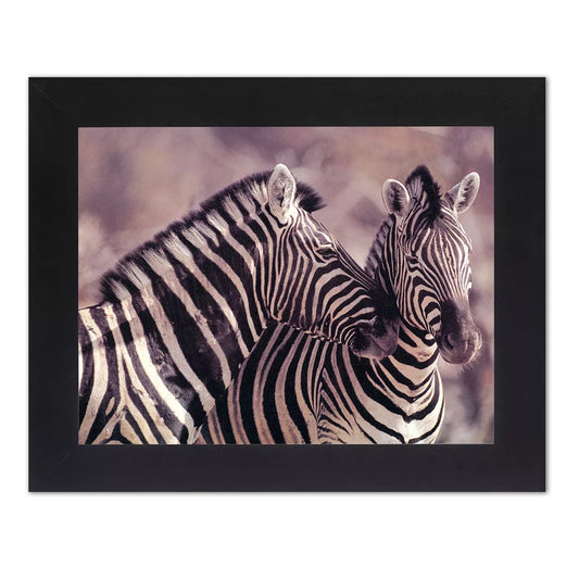 African Striped Zebras Hugging Photo Wall Picture Black Framed