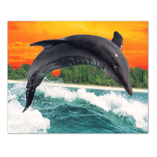 Dolphin Jumping Out of Water behind Boat Wall Picture 8x10 Art Print