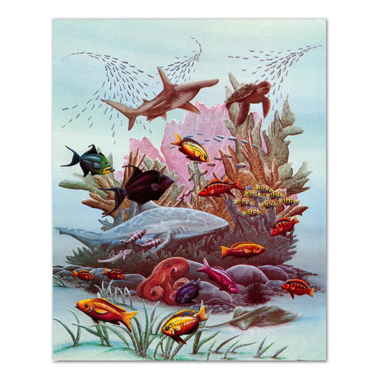 Sharks w/ Sea Turtle Ocean Striped Fish Coral Reef Wall Picture 8x10 Art Print