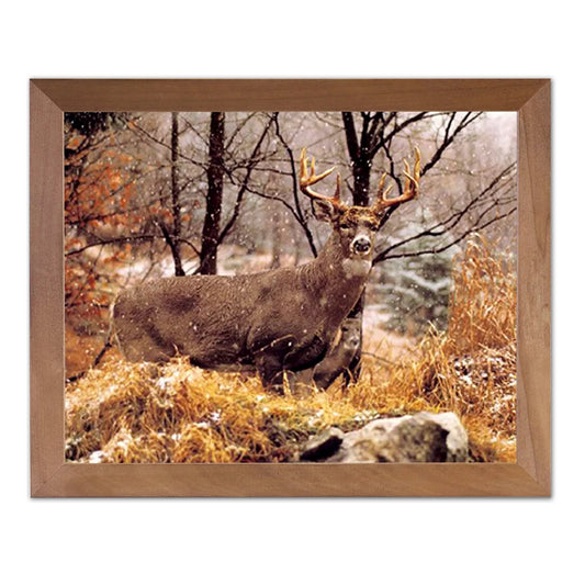 Whitetail Buck Deer And Doe In Snow Outdoor Wall Picture Honey Framed Art Print