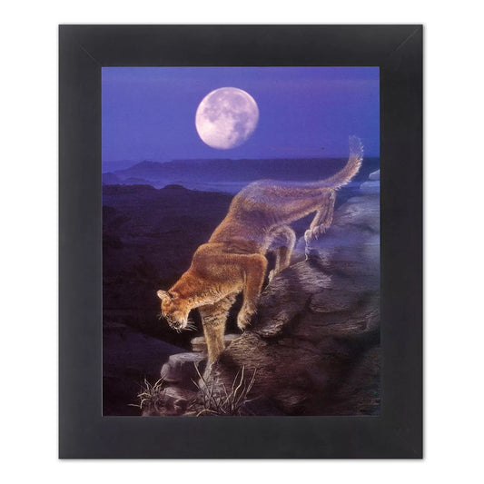 Bobcat Mountain Lion Enter the Badlands at Night Wall Picture Black Framed