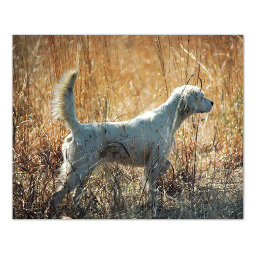 Setter Dog Hunting Field Cabin Wall Picture Art Print