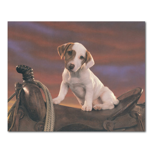 Western Cowboy Rodeo Saddle Rope Dog Animal Wall Picture 16x20 Art Print