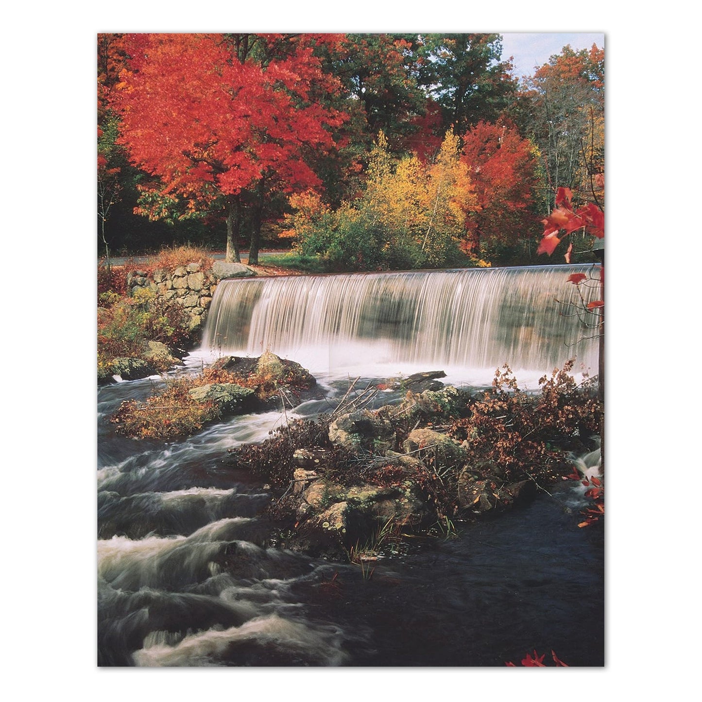 Waterfall Fall Trees Nature Outdoor Home Decor Wall Picture Art Print