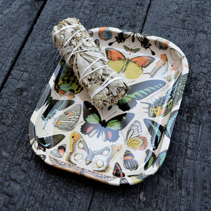 Small Metal Butterfly 1 Tray / Vintage Butterflies Dish