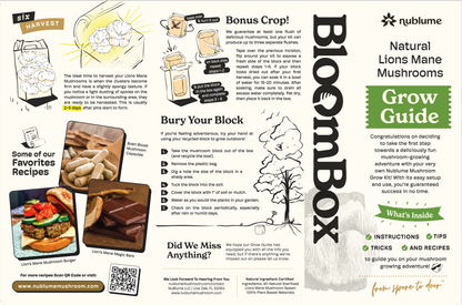 Lion’s Mane Mushroom Grow Kit | DIY Indoor Garden | Gift