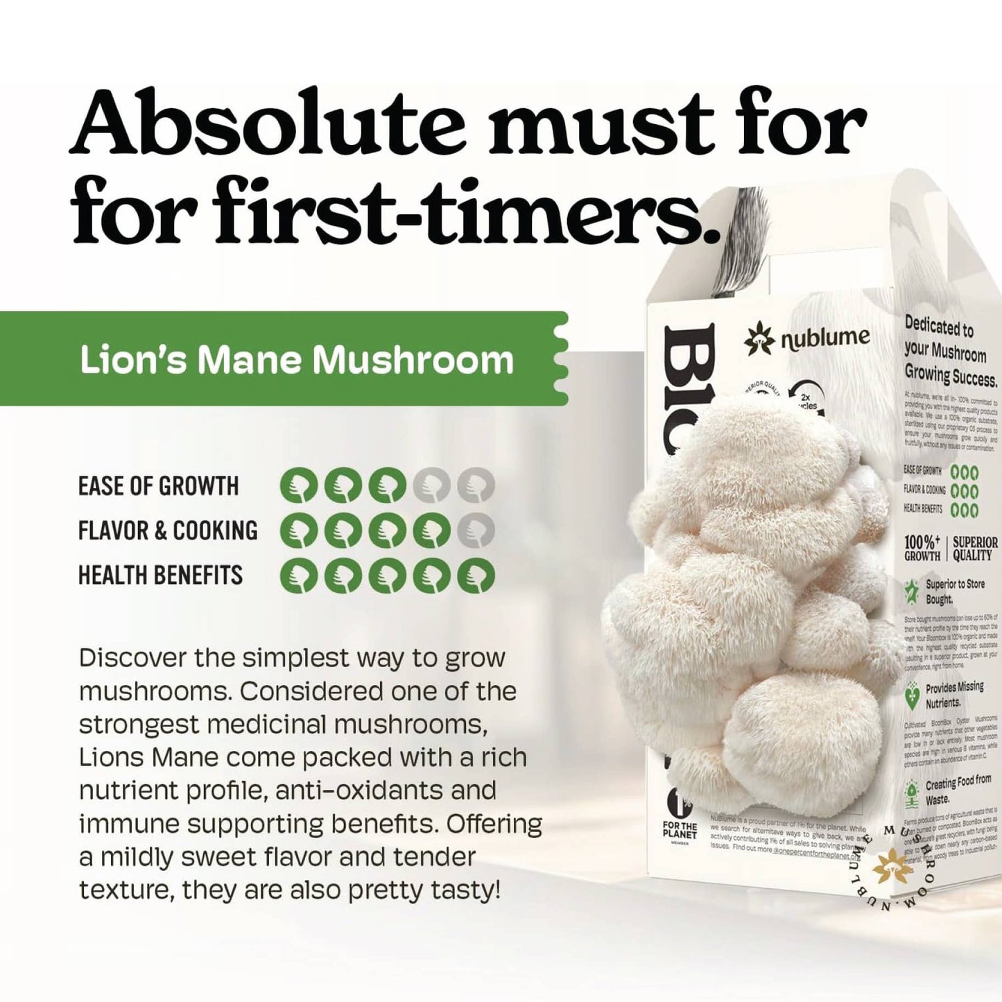 Lion’s Mane Mushroom Grow Kit | DIY Indoor Garden | Gift