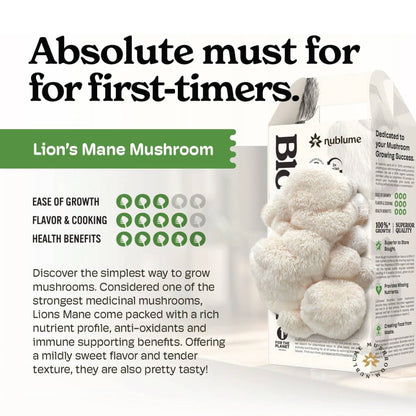 Lion’s Mane Mushroom Grow Kit | DIY Indoor Garden | Gift