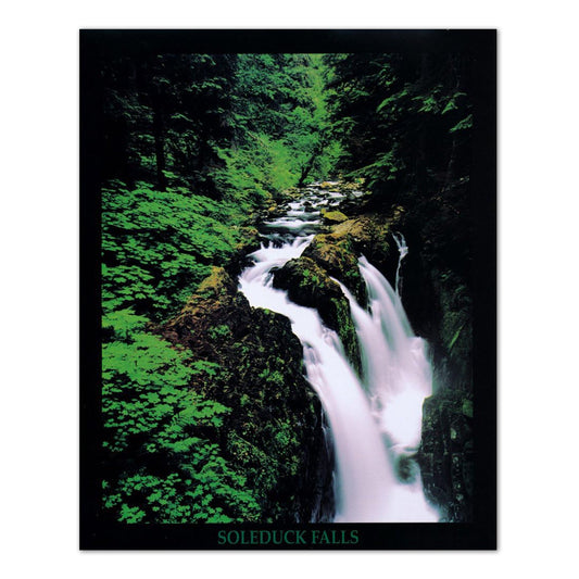 Soleduck Waterfall Olympic National Park Photo Wall Picture 8x10 Art Print